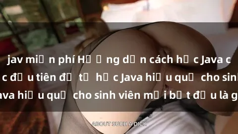 jav miễn phí Hướng dẫn cách học Java cho sinh viên: Bước đầu tiên để tự học Java hiệu quả cho sinh viên mới bắt đầu là gì?